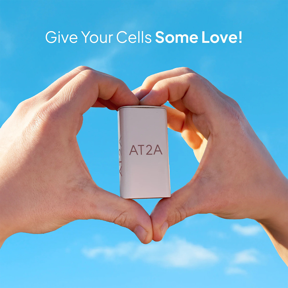 AT2A Cell Care Essentials
