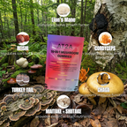 AT2A 10-in-1 Mushroom Gummies